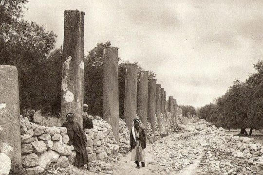 Ruins of Samaria